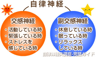 交感神経と副交感神経のしくみ