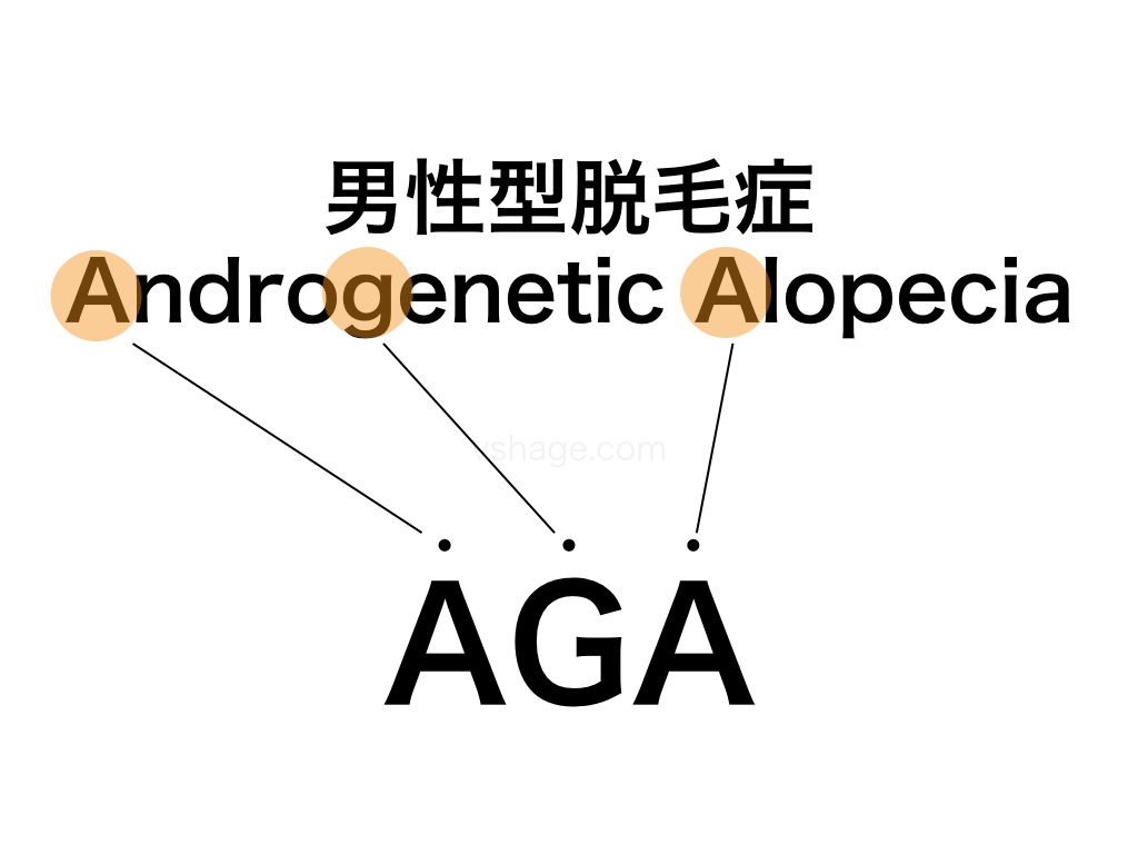 AGA(男性型脱毛症)