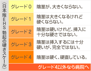 勃起のグレード