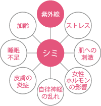 シミの原因
