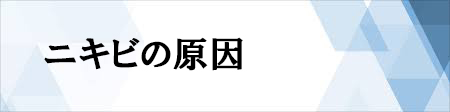 ニキビの原因