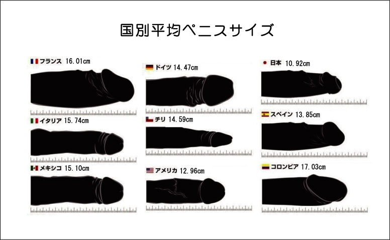 世界の平均的ペニスサイズ