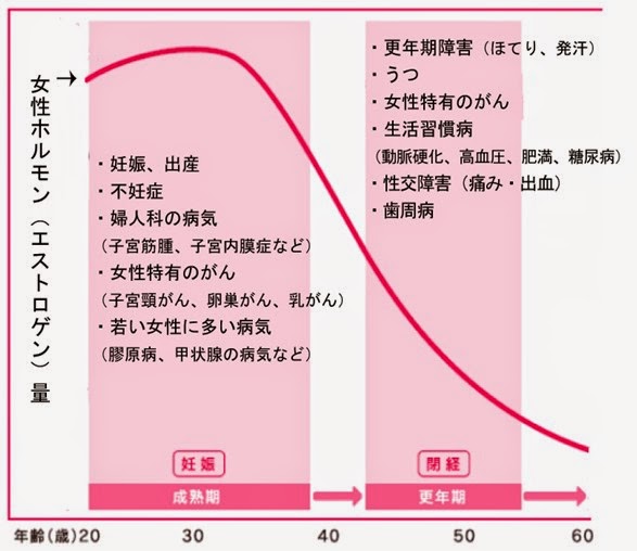 女性の体とエストロゲンの関係