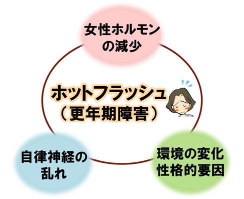 ホットフラッシュ